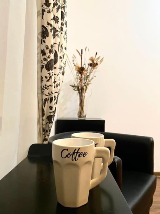 Harmony Homes- Piata Unirii Central Apartament Тімішоара Екстер'єр фото