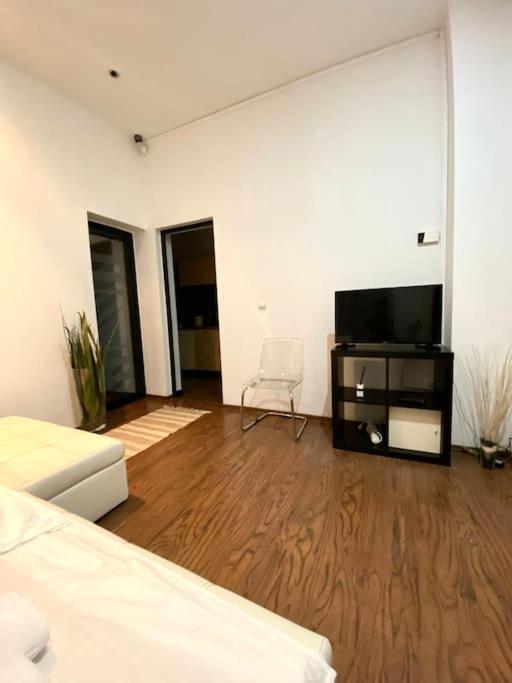 Harmony Homes- Piata Unirii Central Apartament Тімішоара Екстер'єр фото
