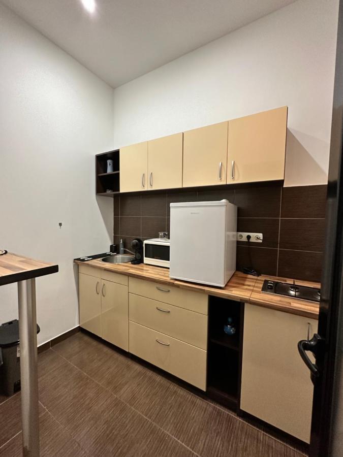 Harmony Homes- Piata Unirii Central Apartament Тімішоара Екстер'єр фото