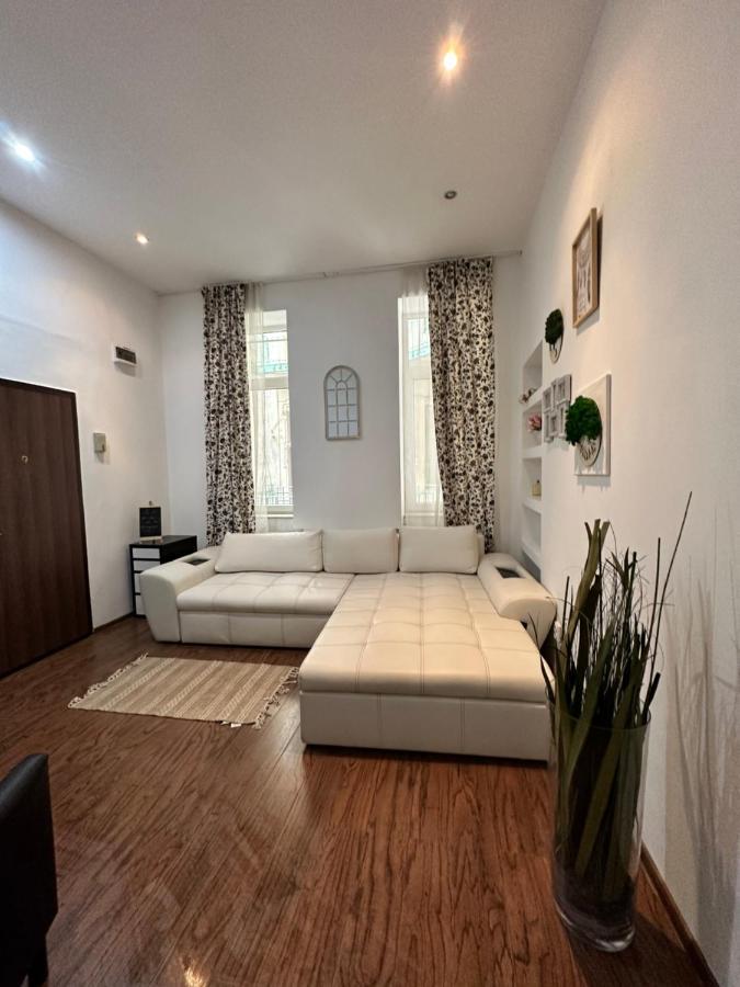 Harmony Homes- Piata Unirii Central Apartament Тімішоара Екстер'єр фото