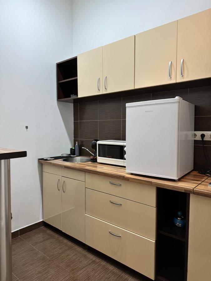 Harmony Homes- Piata Unirii Central Apartament Тімішоара Екстер'єр фото